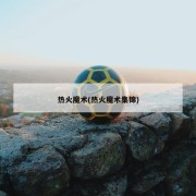 热火魔术(热火魔术集锦)