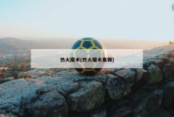 热火魔术(热火魔术集锦)