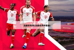 法国世界杯(法国世界杯歌曲)