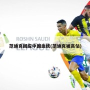 范迪克回应中国血统(范迪克被高估)