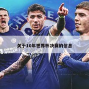 关于10年世界杯决赛的信息