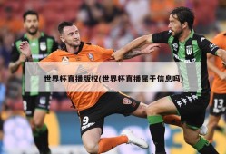 世界杯直播版权(世界杯直播属于信息吗)