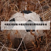 中国足球反赌(中国足球反赌扫黑球员都有谁)