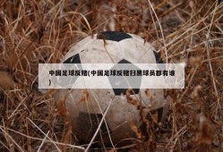 中国足球反赌(中国足球反赌扫黑球员都有谁)