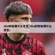 nba附加赛什么意思(nba的附加赛什么意思)