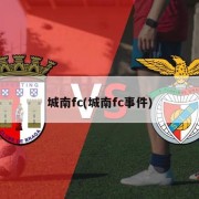 城南fc(城南fc事件)