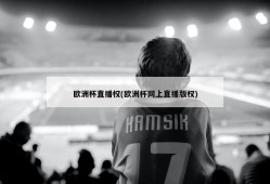 欧洲杯直播权(欧洲杯网上直播版权)