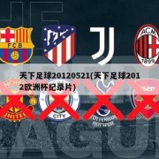 天下足球20120521(天下足球2012欧洲杯纪录片)