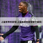 上届世界杯冠军(上届世界杯冠军哪个国家)