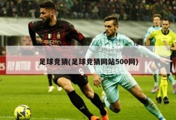 足球竞猜(足球竞猜网站500网)