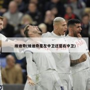 维迪奇(维迪奇是左中卫还是右中卫)