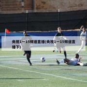 央视1一15频道直播(央视1一15频道直播下)