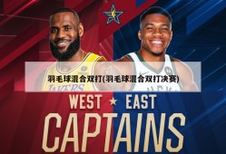 羽毛球混合双打(羽毛球混合双打决赛)