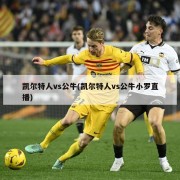 凯尔特人vs公牛(凯尔特人vs公牛小罗直播)