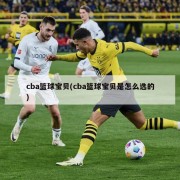 cba篮球宝贝(cba篮球宝贝是怎么选的)